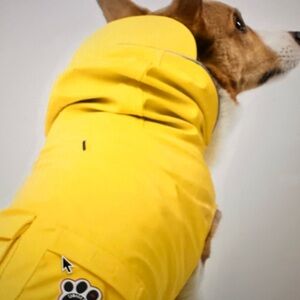 Bright Yellow Dog Raincoat